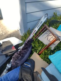 Free Pile Magnolia Sunday 9/6