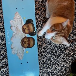 Golf Wang/Tyler the Creator Skate Deck