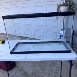 29 Gallon Fish Tank