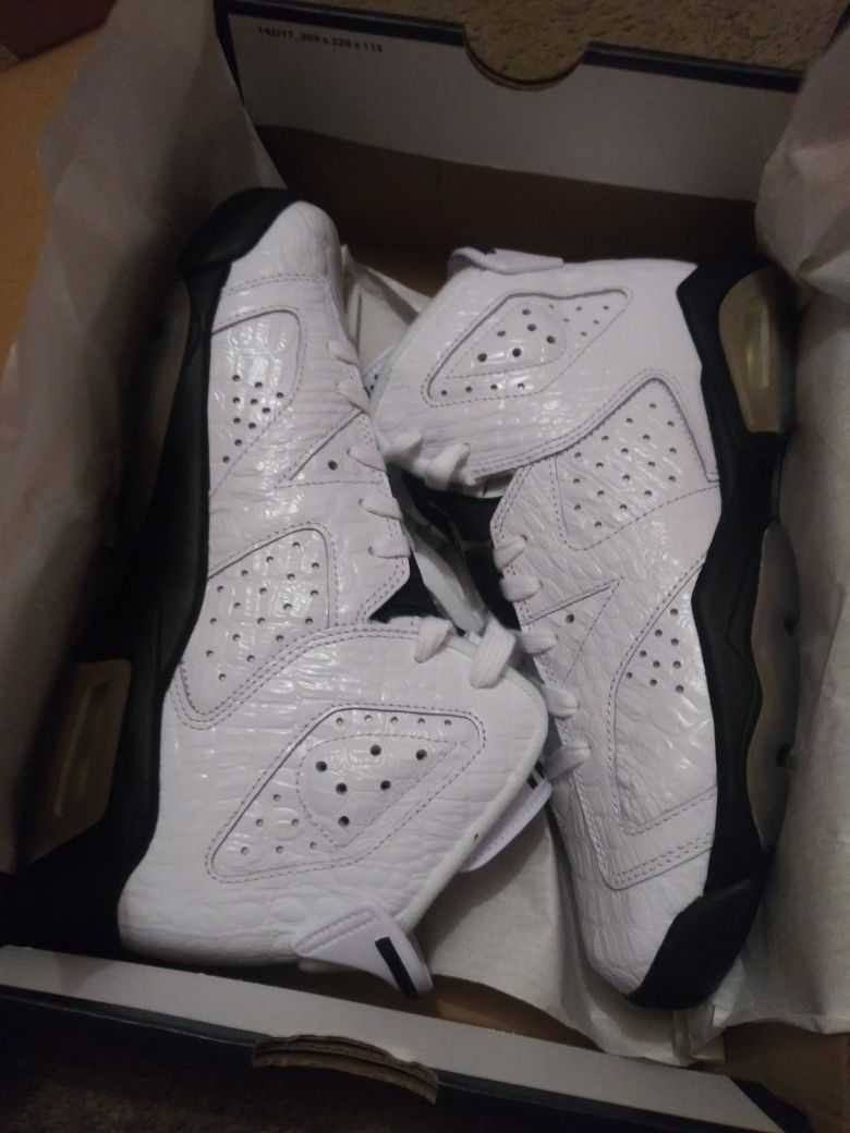 Brand new Air Jordan 6 Retro