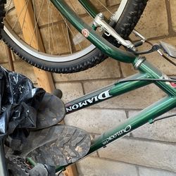 Diamond Back N Raleigh Bike.