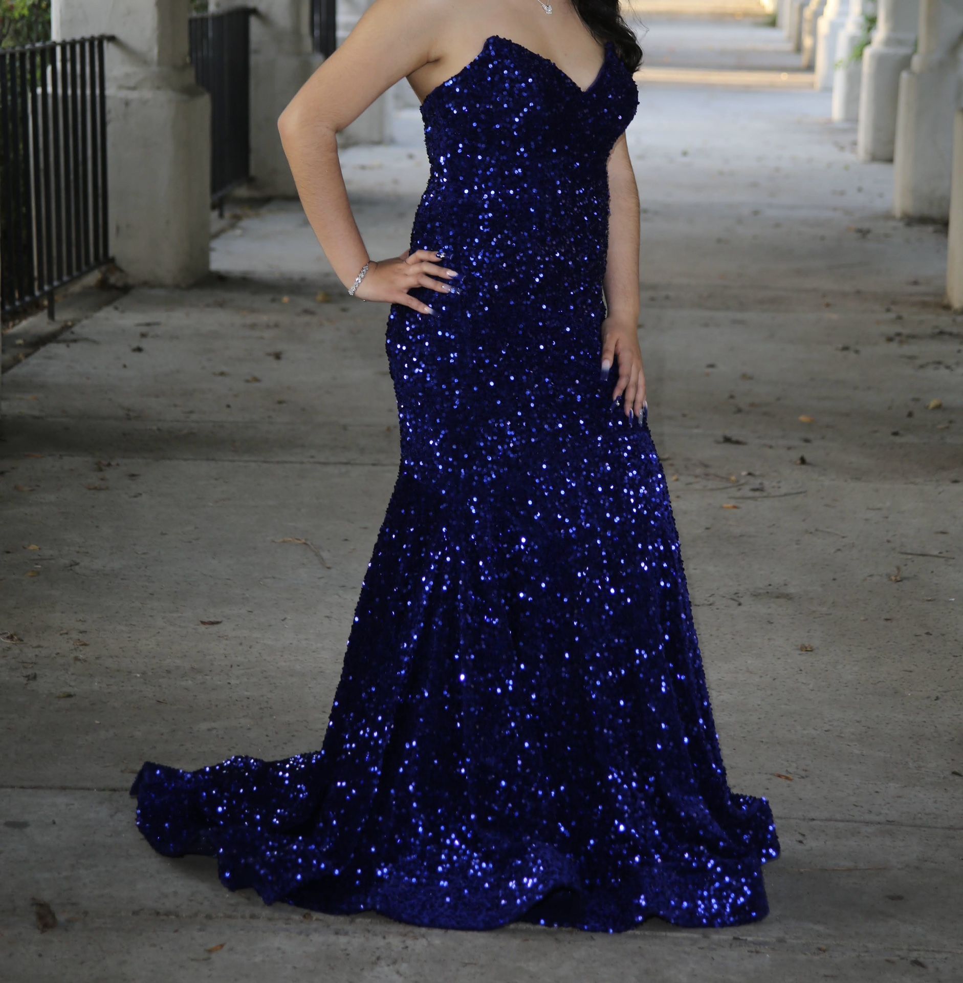 Prom/Long Sparkly Dress