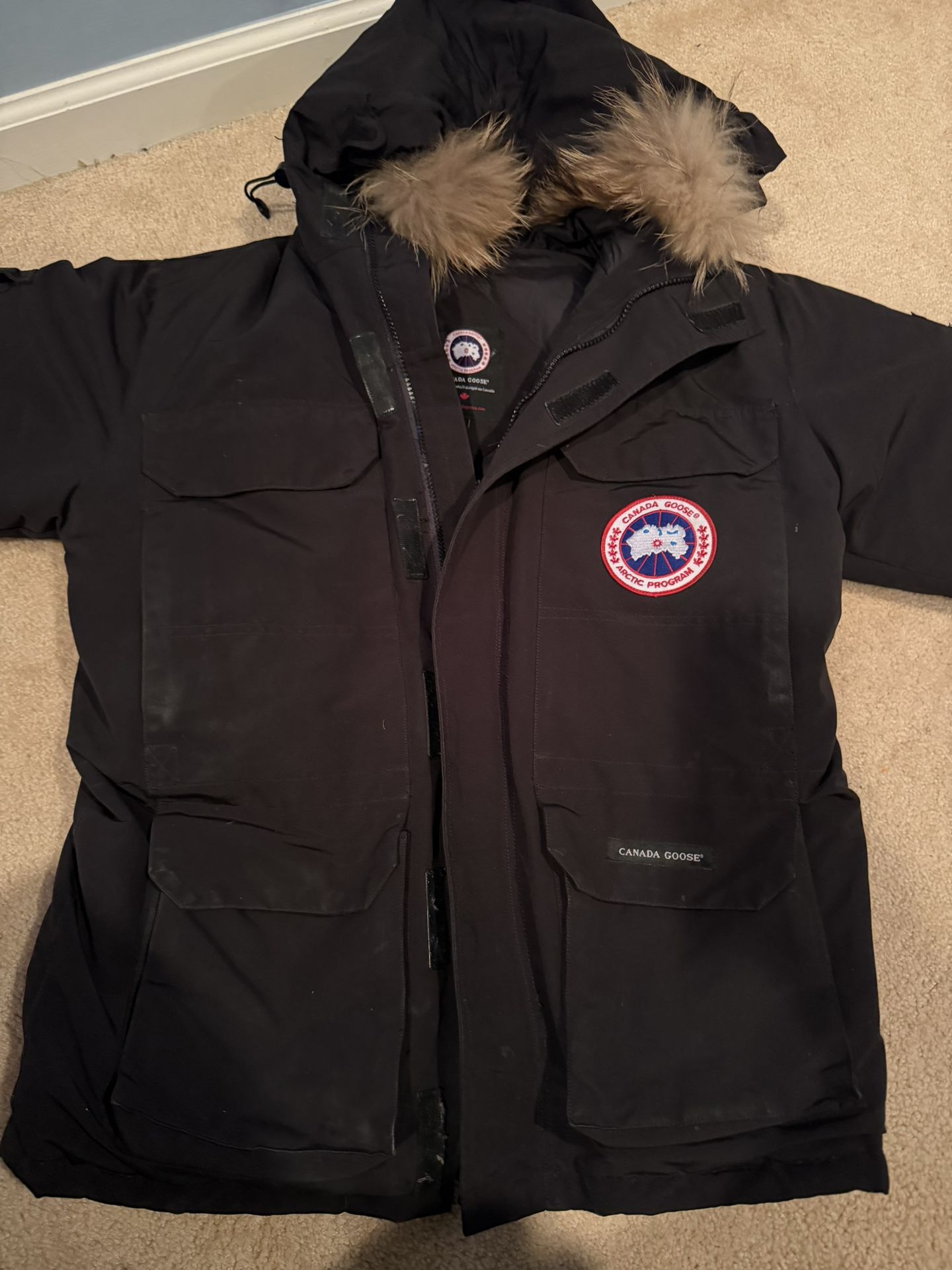 Canada Goose