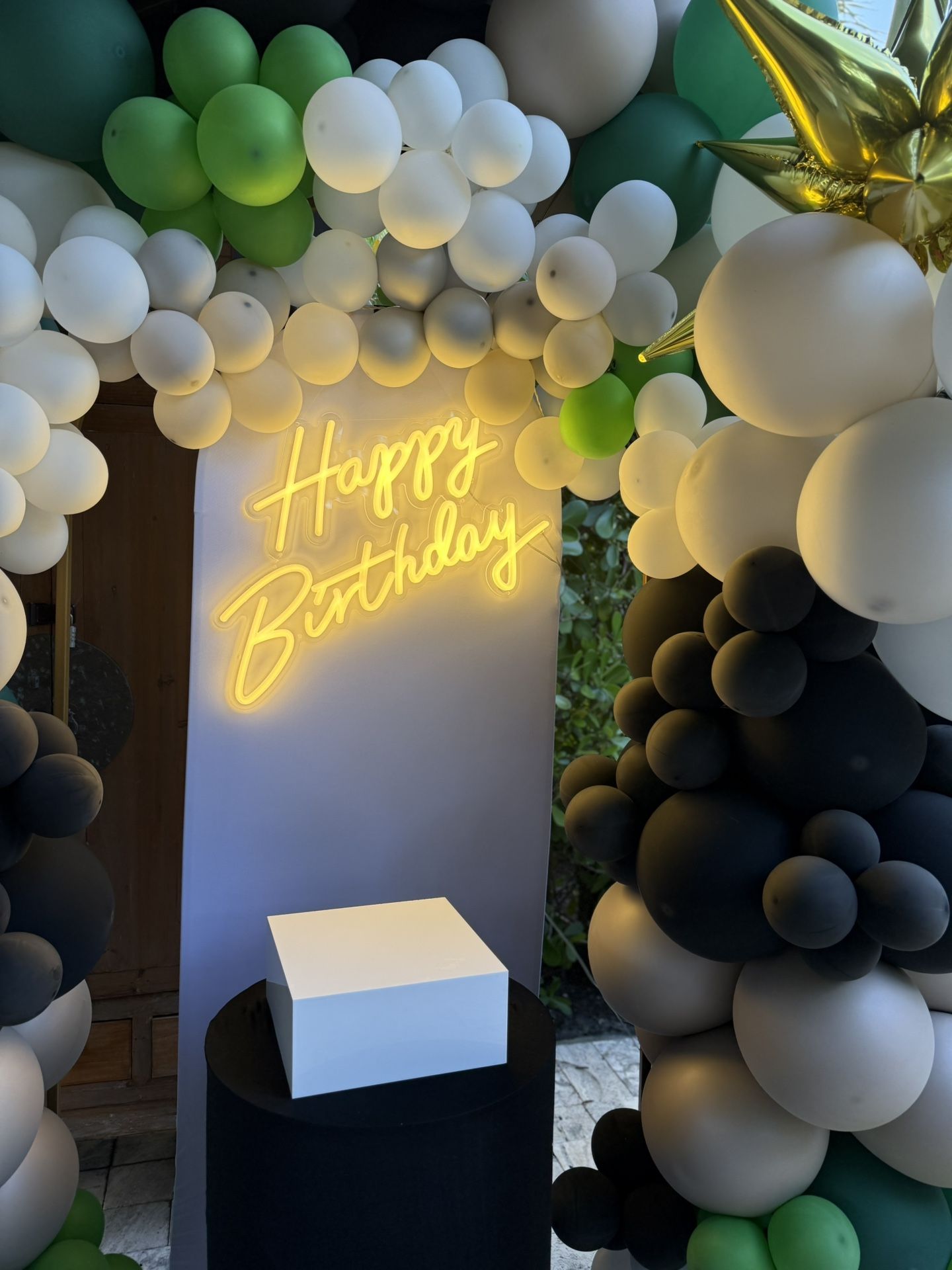 🎉 Balloon Arch & Backdrop