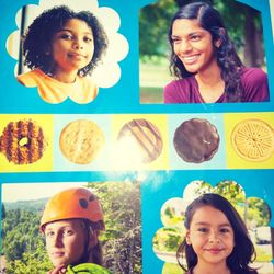 Girl Scout Cookies 4 Box Set