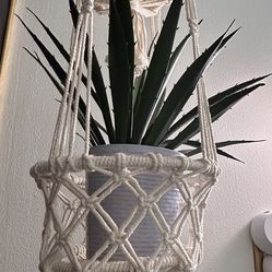 Macrame Plant Hanger with 2 Faux Plants