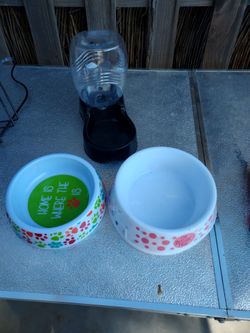 Pet bowls
