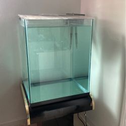 Square Aquarium