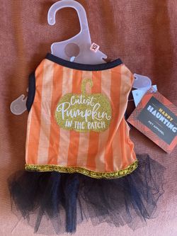 Halloween Pet Dress Xs
