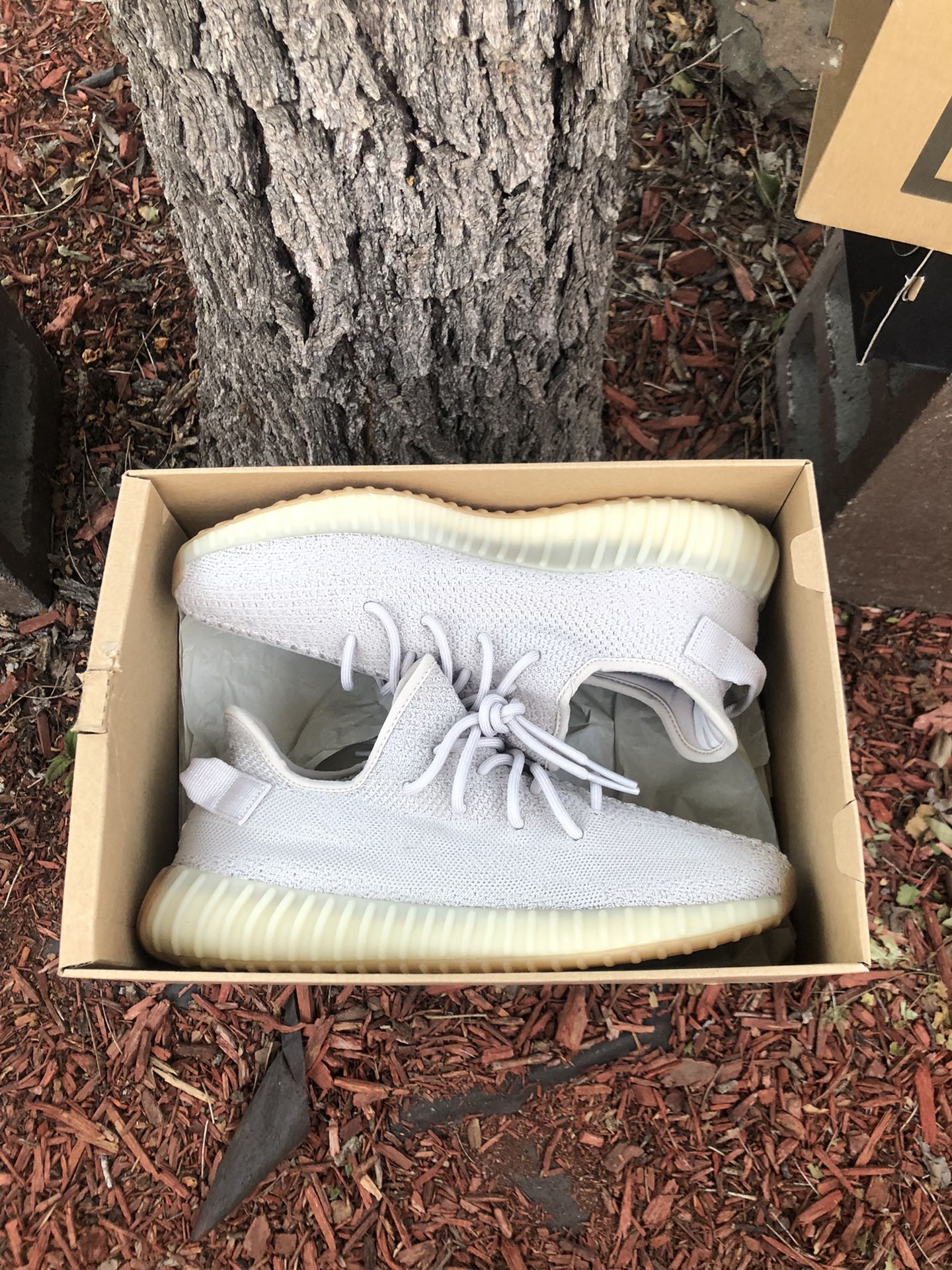 Yeezy 350 “Sesame” V2