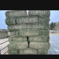 Horse Quality Hay