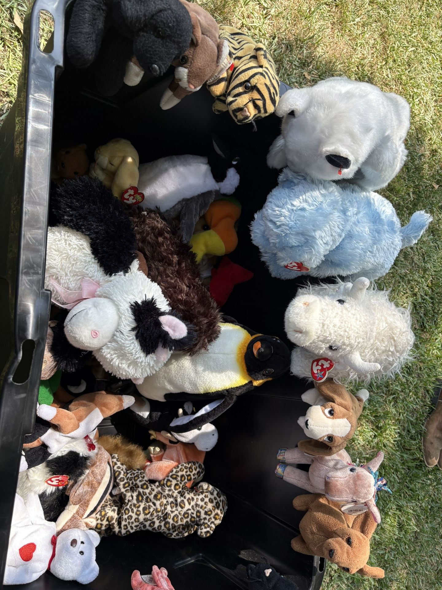 Beanie Babies