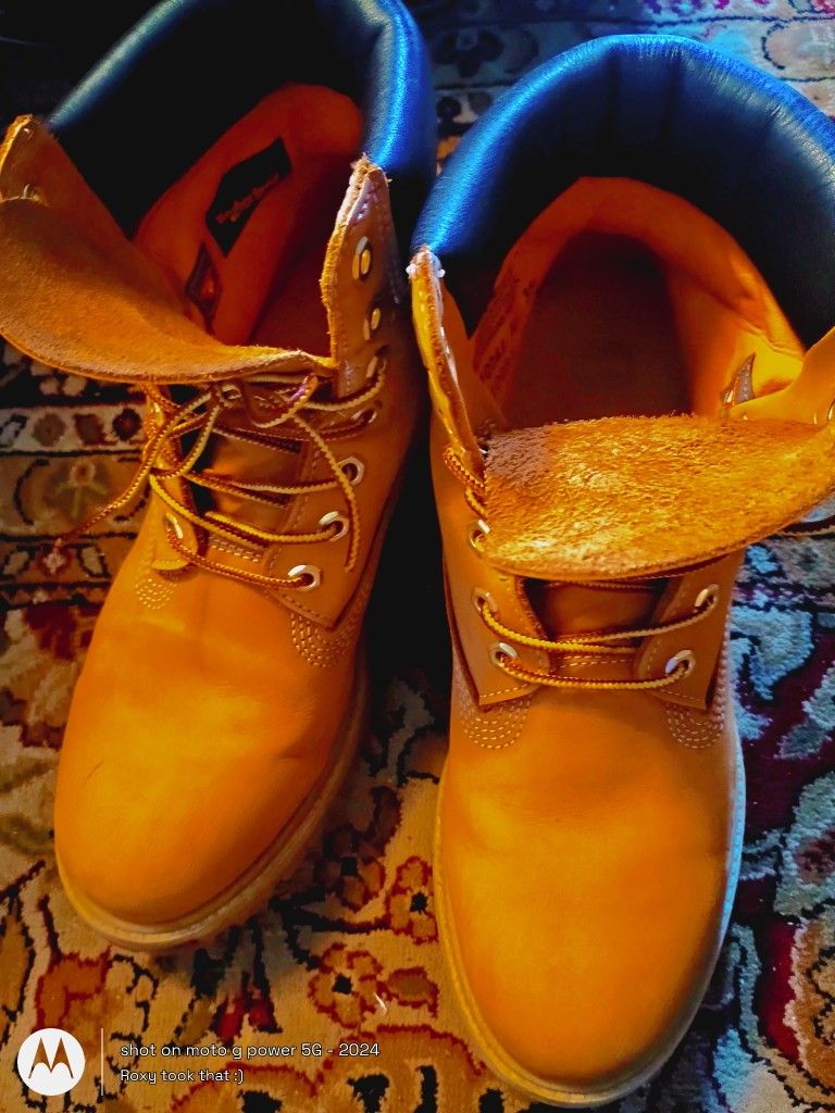 Timberland Shoes/Boots 6" (9.5)