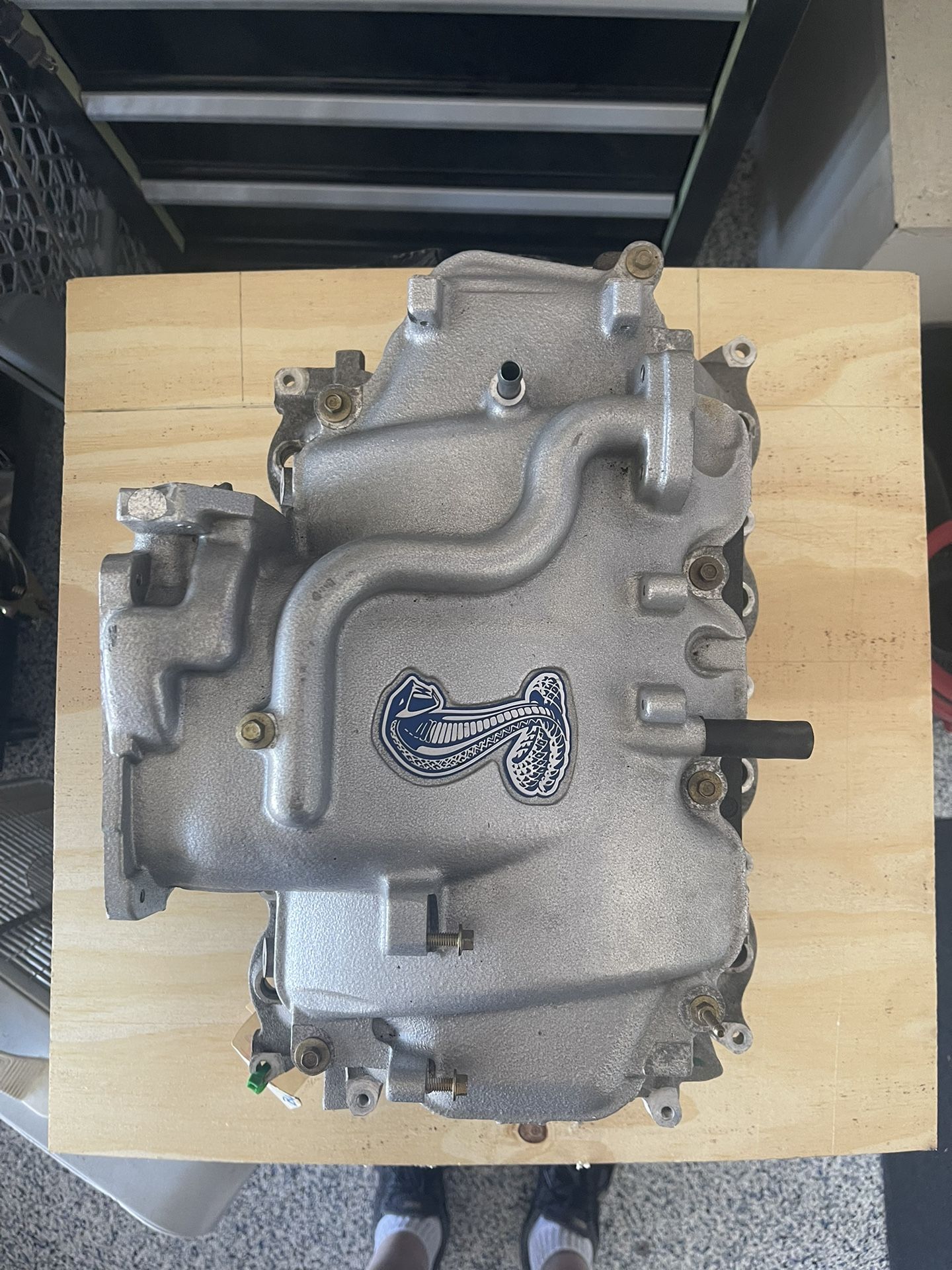 99-01 Mustang Cobra Intake Manifold