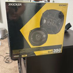 Kicker 350 Watts Peak