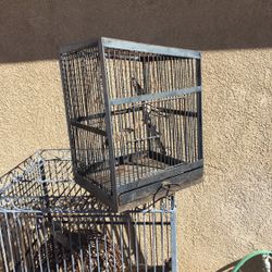 Bird Cage 