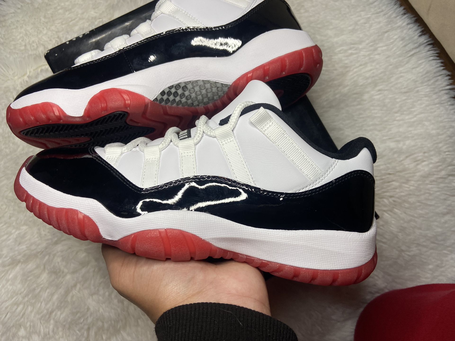 Jordan 11 Concord Bred
