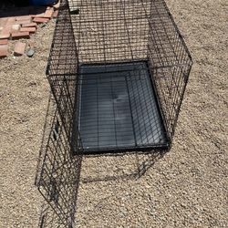 Cage Dog 