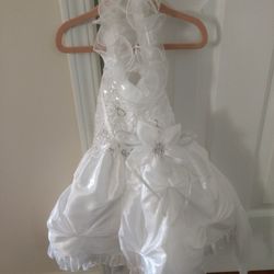 Pageant/Flower Girl Dress 