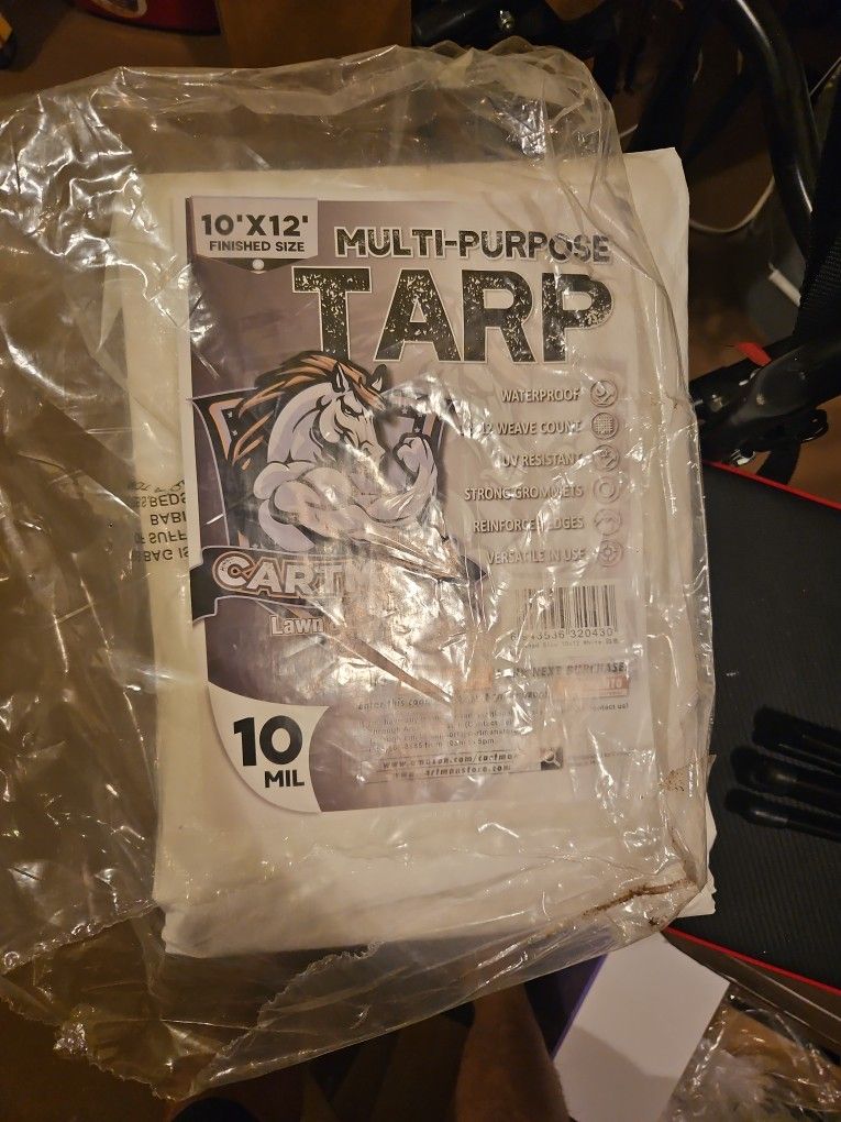 Tarp