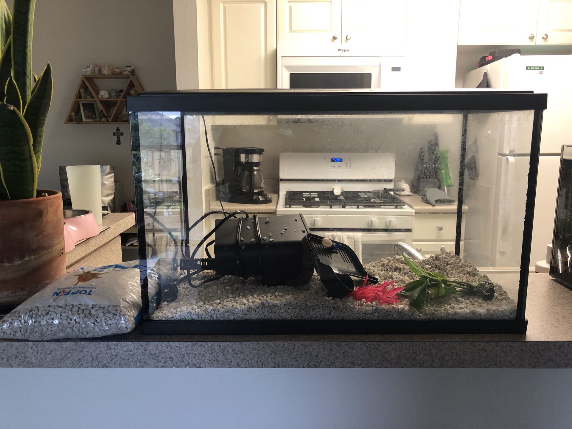 HUGE 450 gallon bow front fish tank: 10 feet long for Sale in Hollywood, FL  - OfferUp