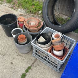 Free Plants And Pots