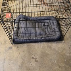 36" Medium Dog Crate w/ Worn KONG Bed - Foldable & Sturdy - Arlington
