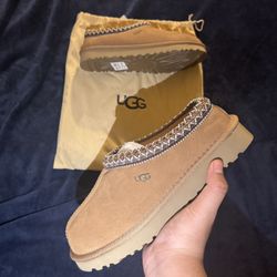 Ugg tasman Women