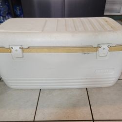 Igloo cooler