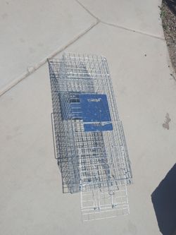 Cat trap