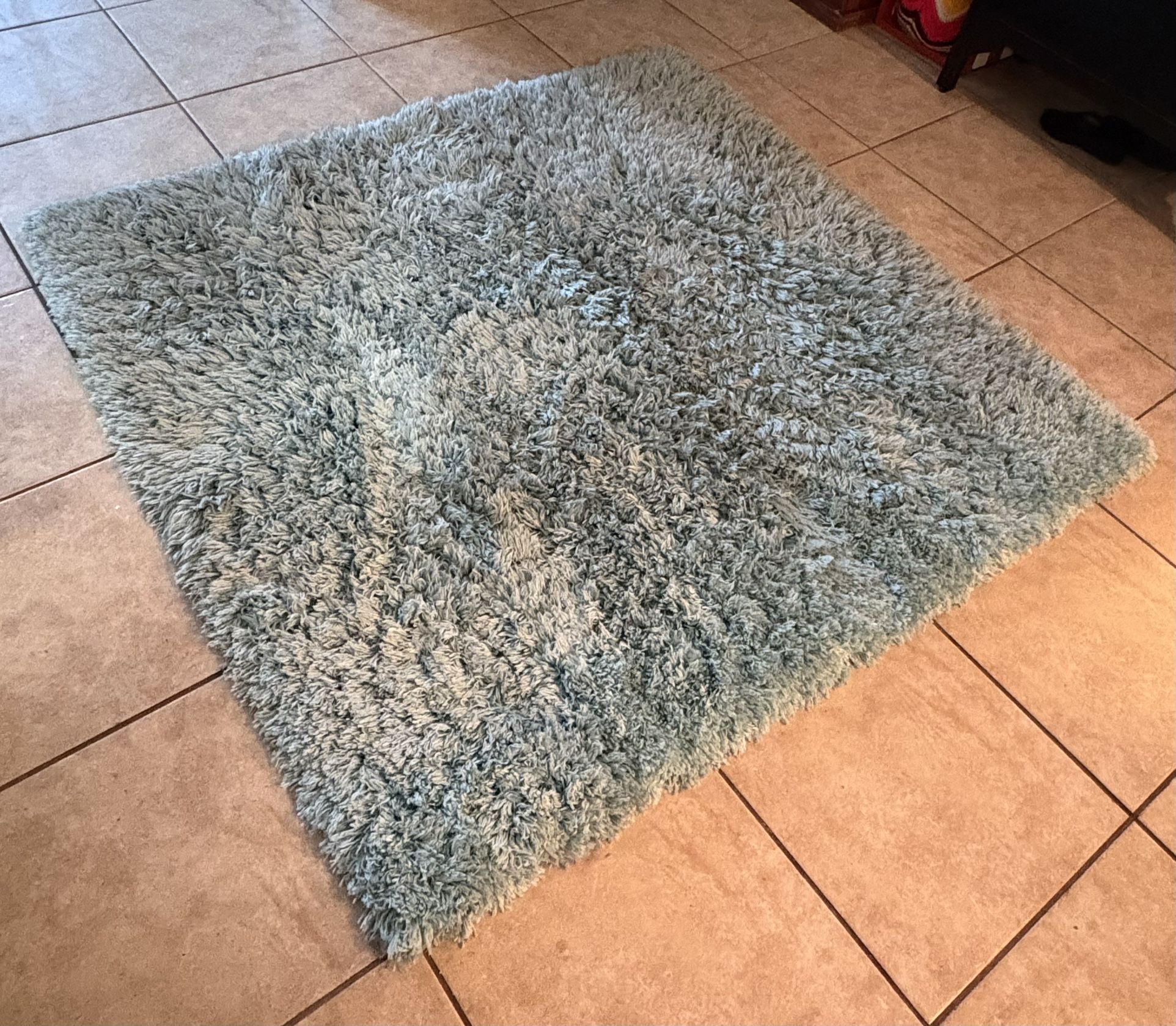 Safavieh Polar Shag Area Rug CLEAN 5 Foot Square Carpet Light Turquoise Pastel Blue Green