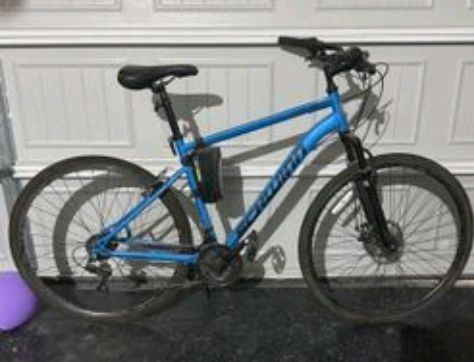 Schwinn Copeland