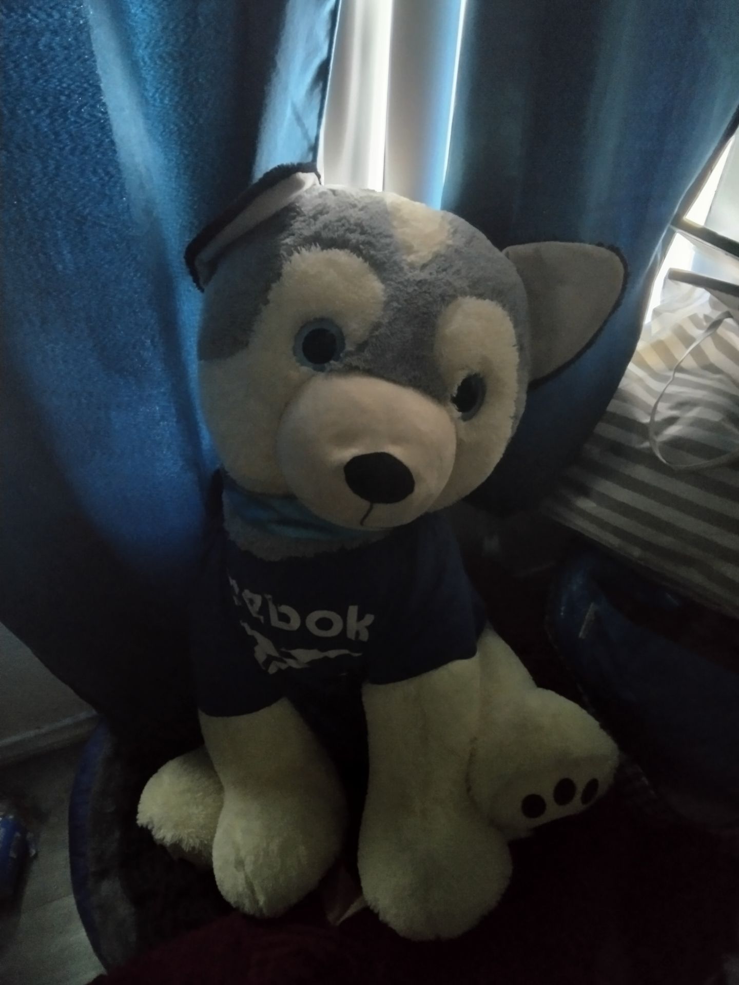 Big husky teddy bear