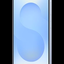 Samsung Galaxy S25 - Silver Shadow - Factory Unlocked