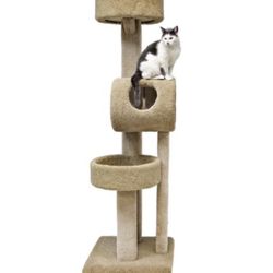 Cat Tower