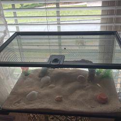 glass tank 