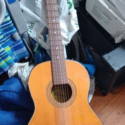 Crown Professional Vintage Guitar 
