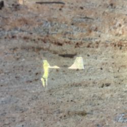 Granite Tiles - Brand New 