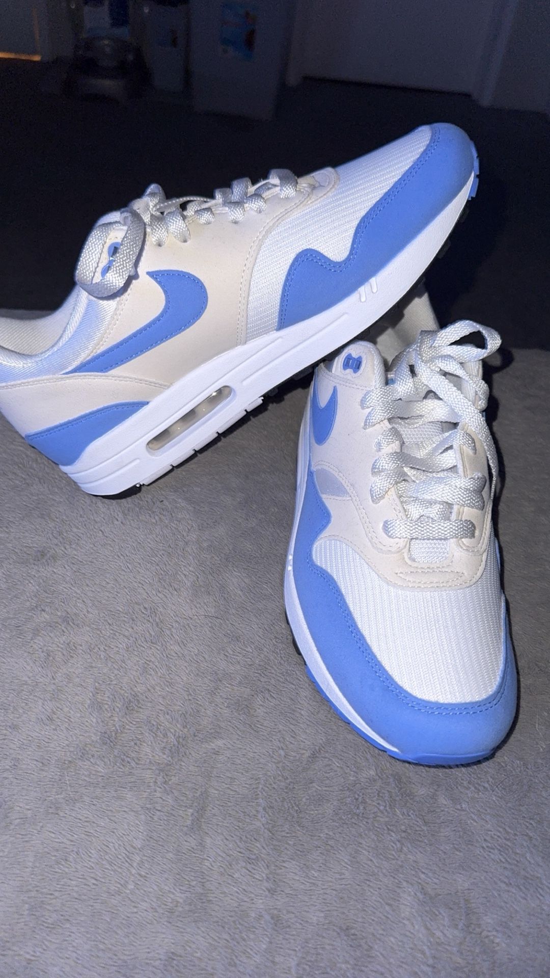 Nike Air Max 1