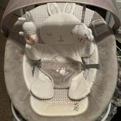 Baby Bouncer 