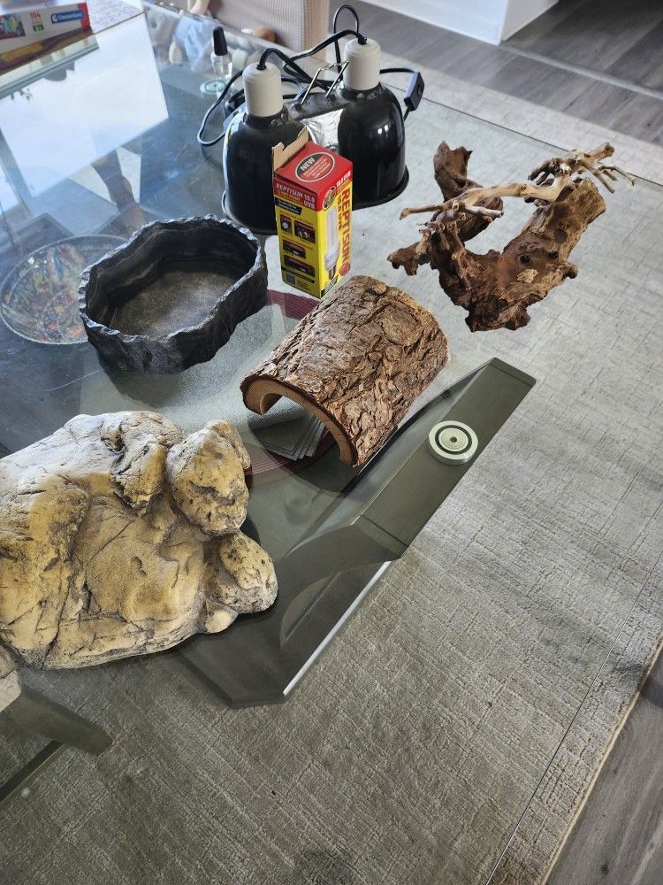 Reptile Supplies