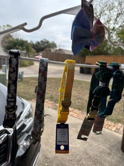 Dog Collars