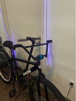 Throne 29er