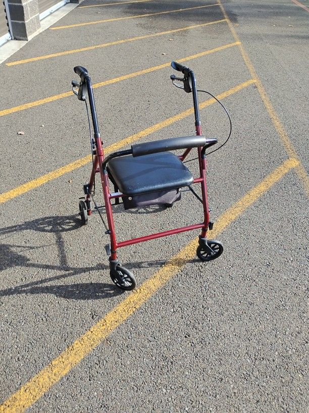 Pro Basics Light Foldable Walker 300-lb WT Cap