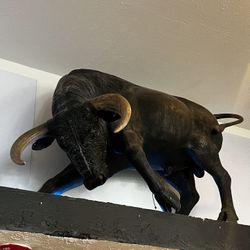 Real Size Bull 