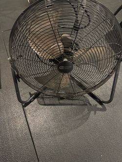 Fan