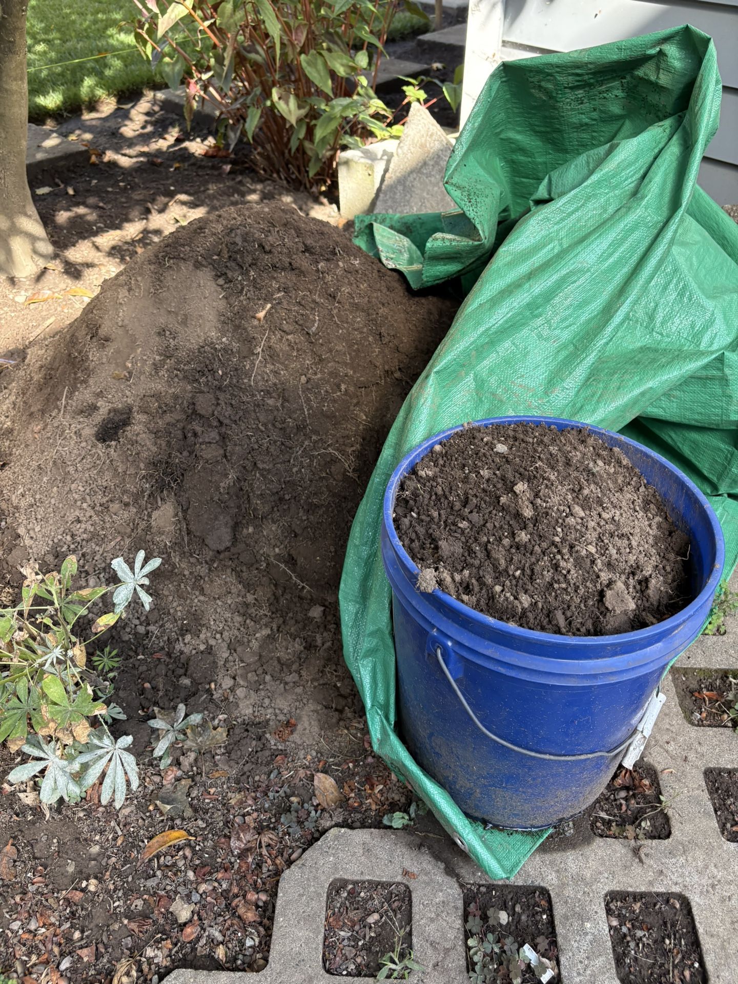 Free Fill Dirt