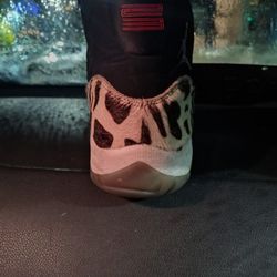 Air Jordan Retro 11s Animal Instinct