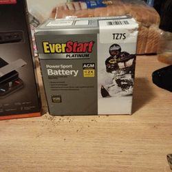 Ever Start Platinum Battery 