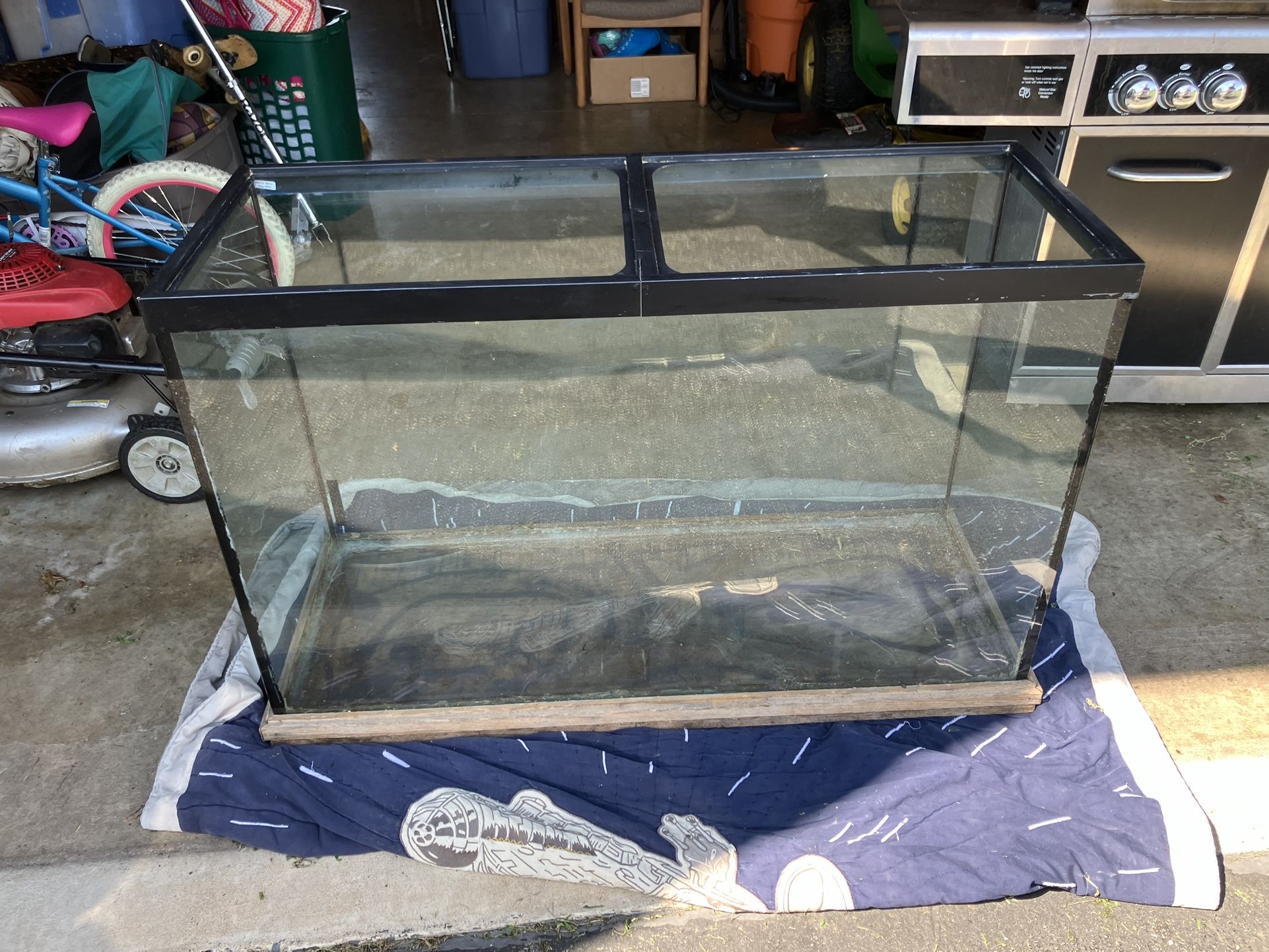 100+ Gallon Terrarium